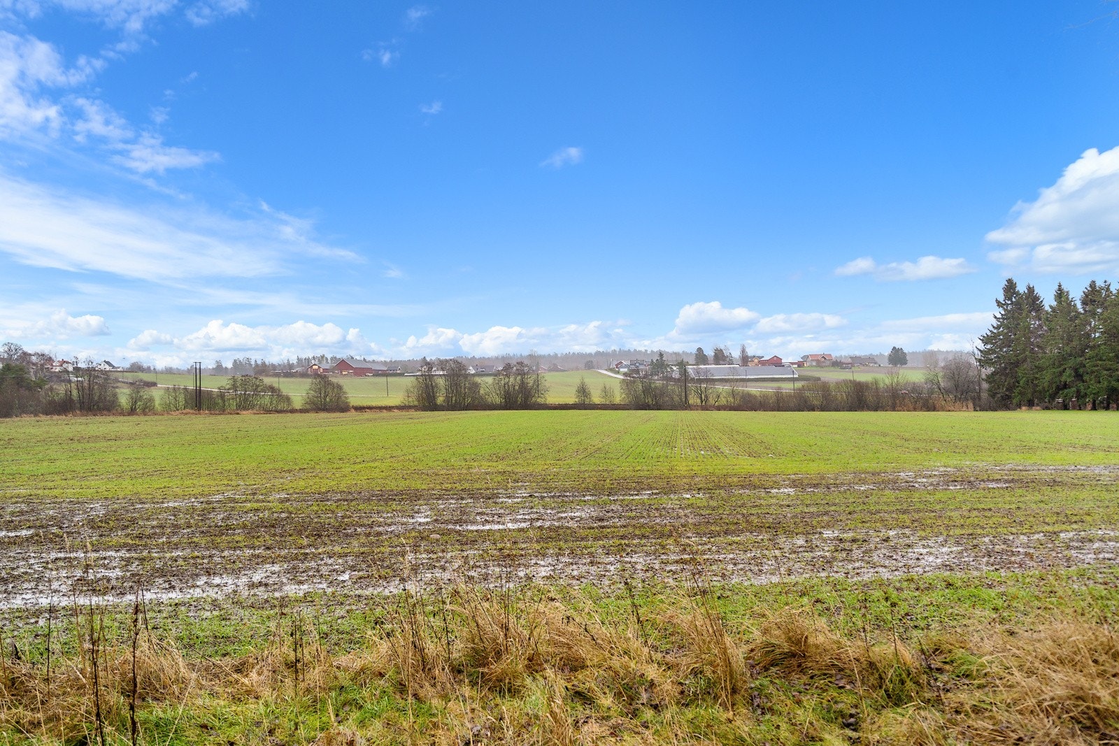 Fint utsyn over egne jorder Galleribilde