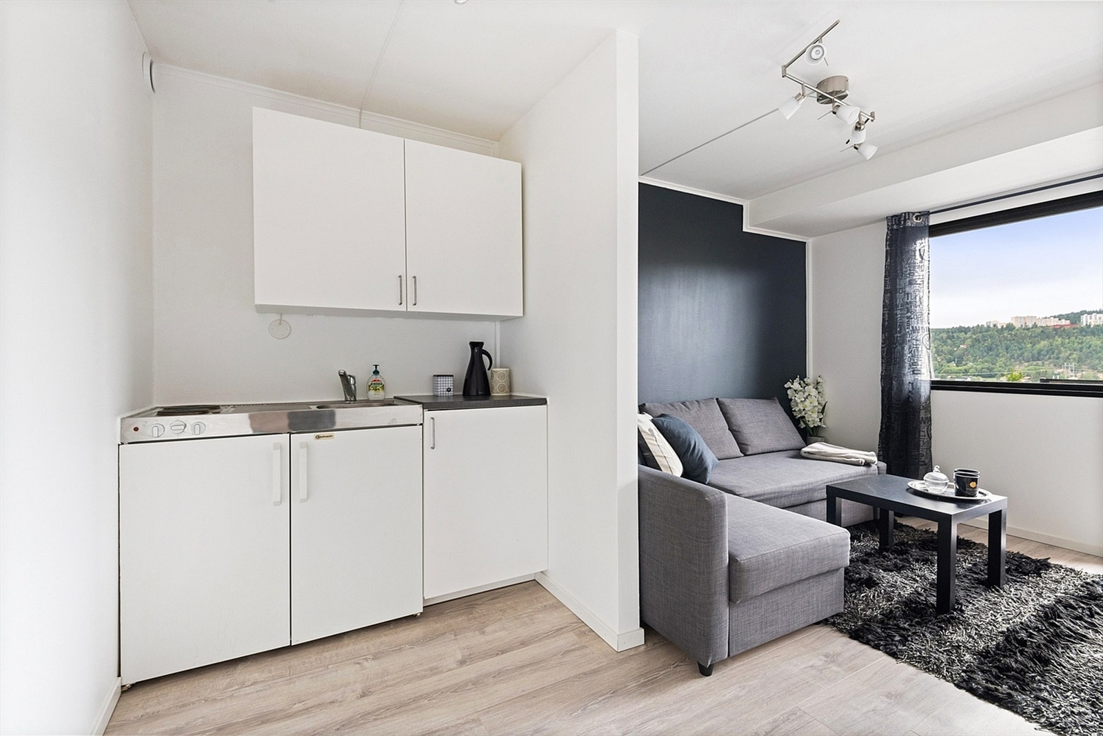 Denne leiligheten passer perfekt for førstegangskjøpere, pendlere eller for utleie! Galleribilde