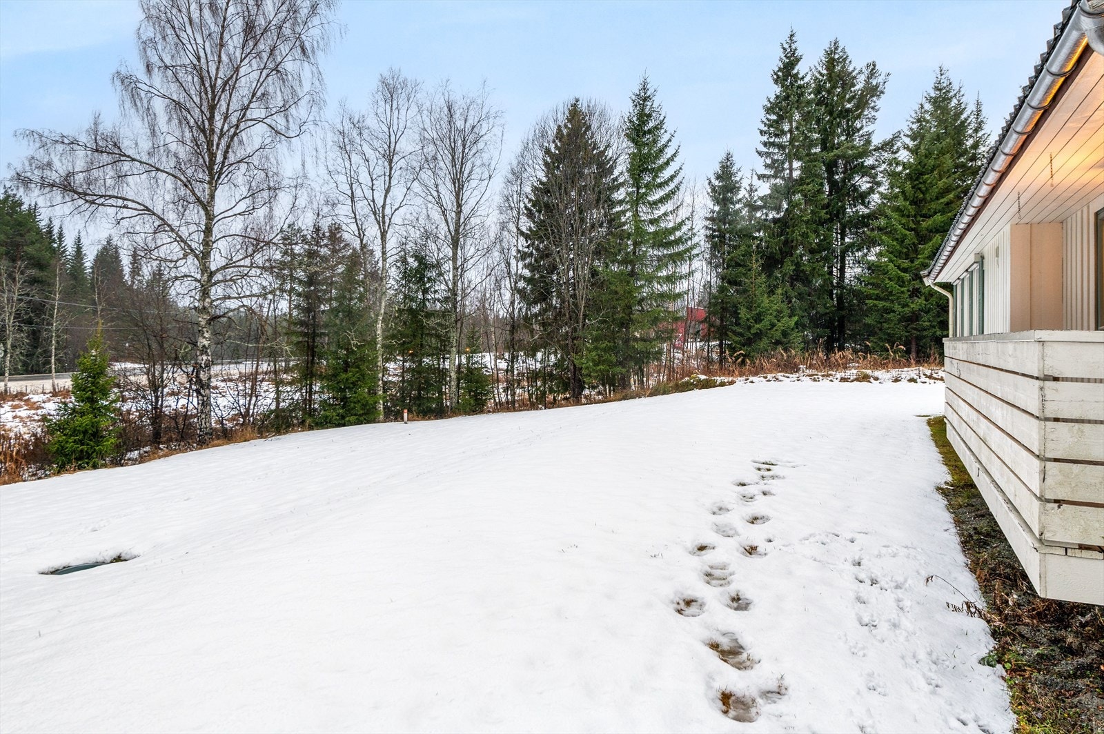 Romslig tomt opparbeidet med gress. Galleribilde