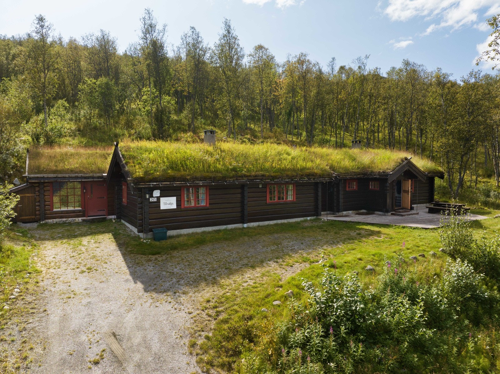 Like fint sommer som vinter. Galleribilde