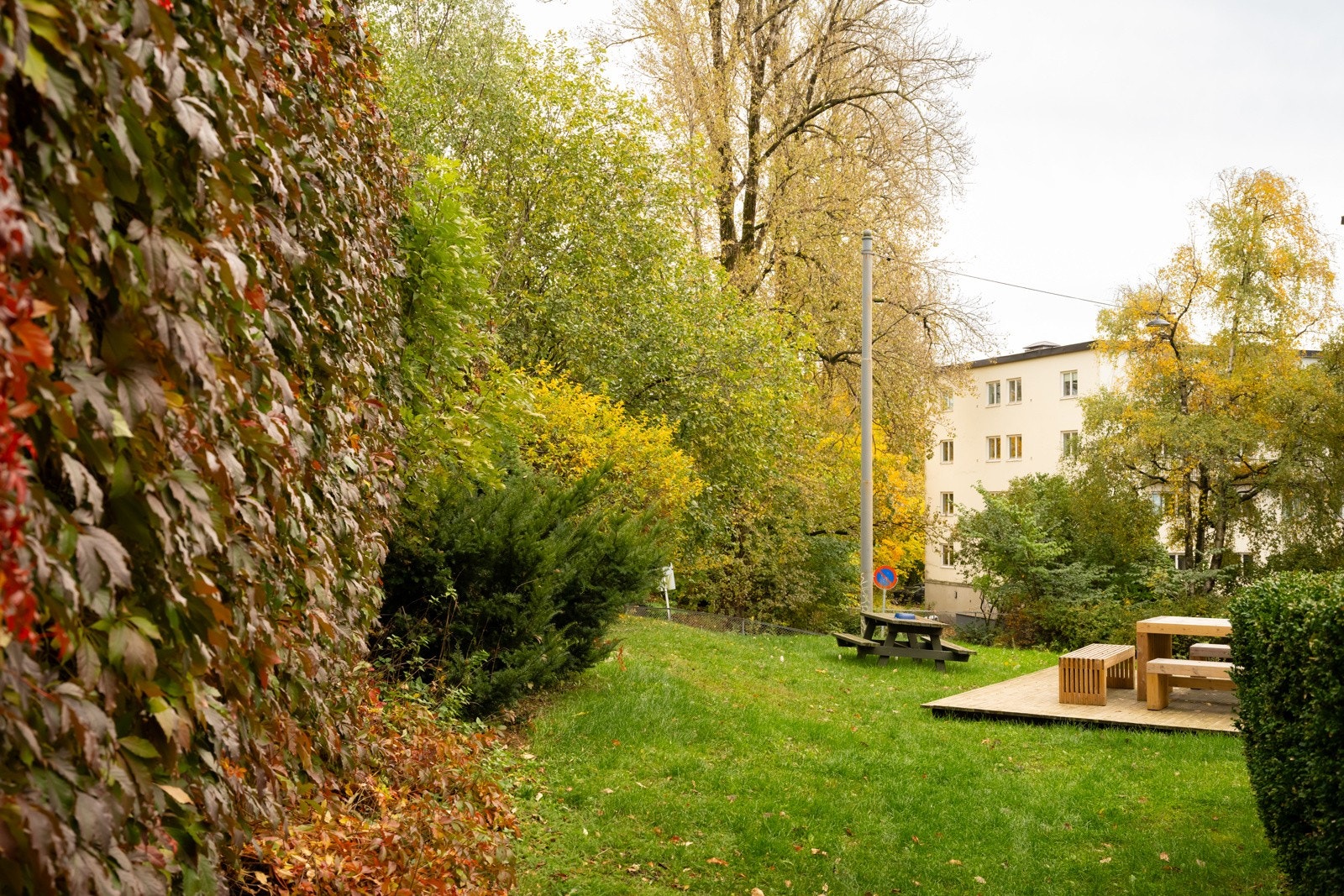 Hyggelig felleshage. Galleribilde