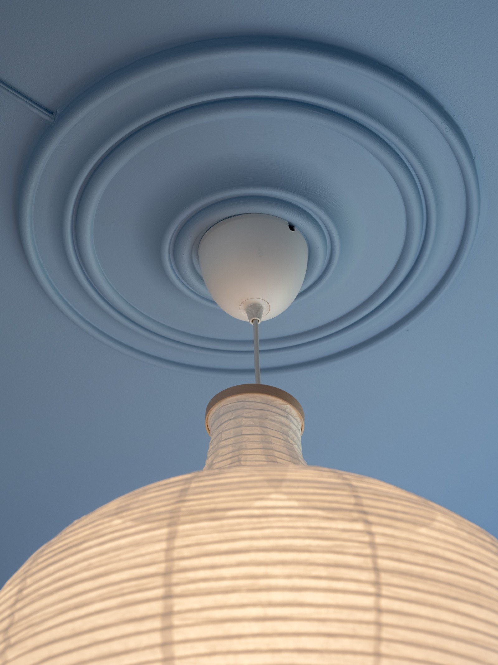 Fin rosett i himlingen. Galleribilde