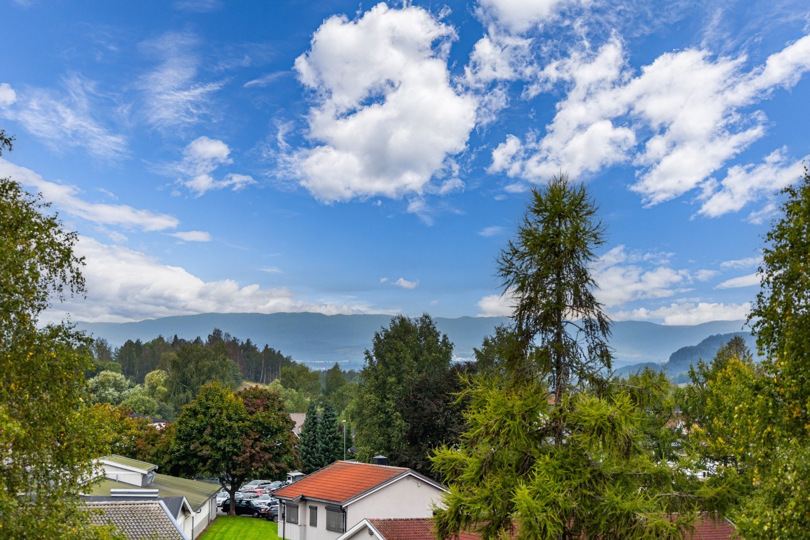 Fin utsikt over nærområdet. Galleribilde