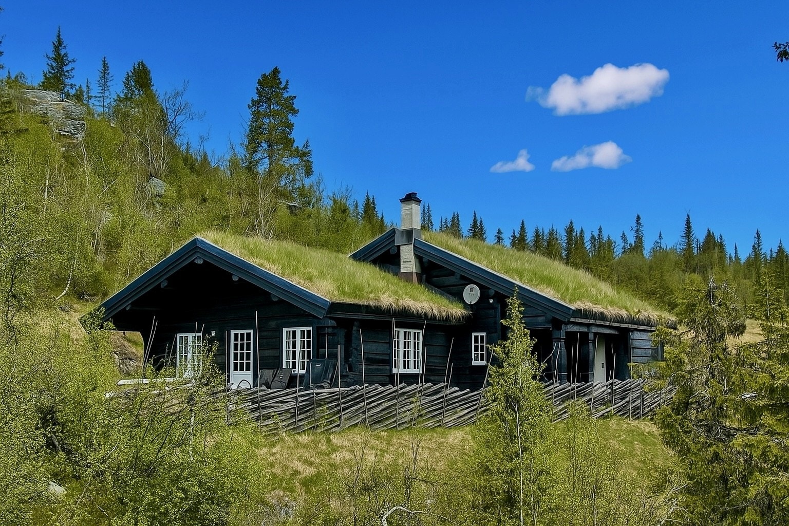 Hytta på sommerstid. Galleribilde