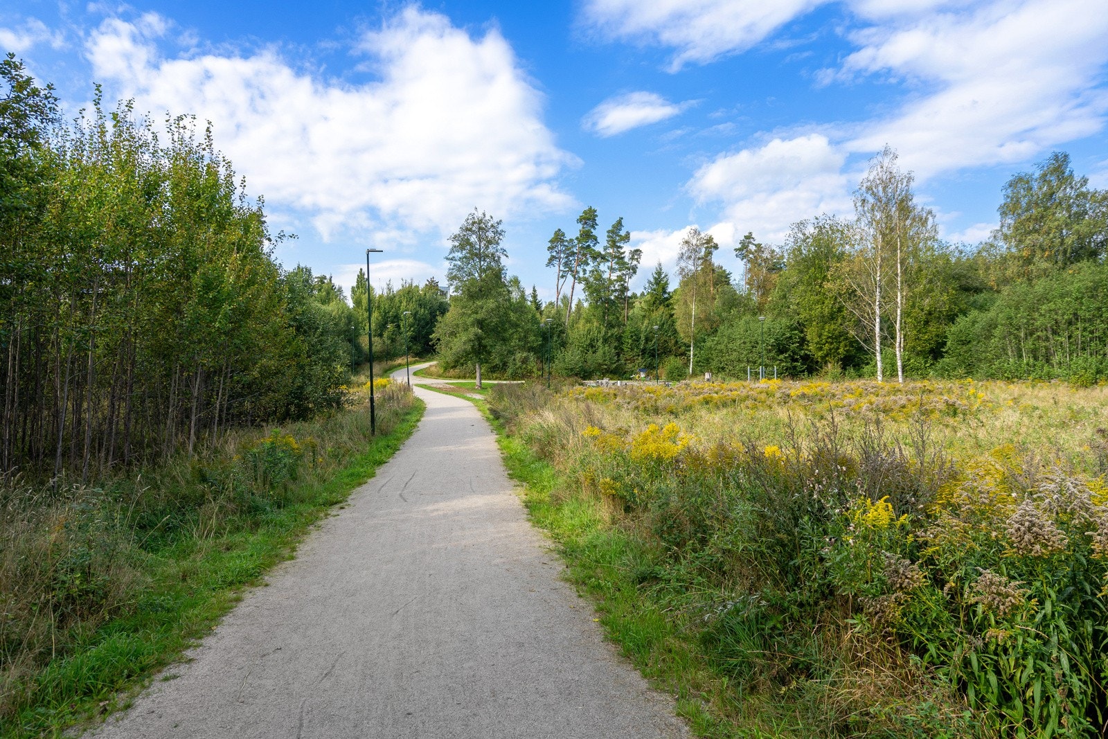 Turstier i nærheten og lysløype i Sarpsborgmarka er populært for mange å benytte seg av Galleribilde
