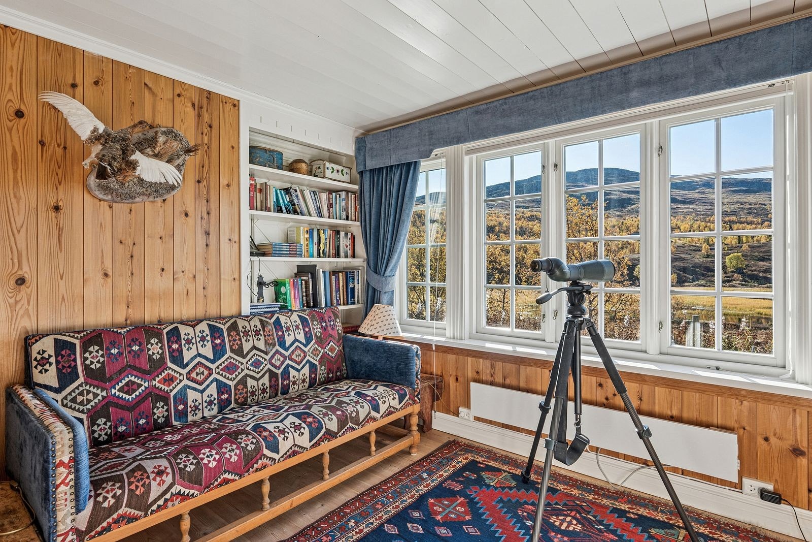 TV stue Galleribilde