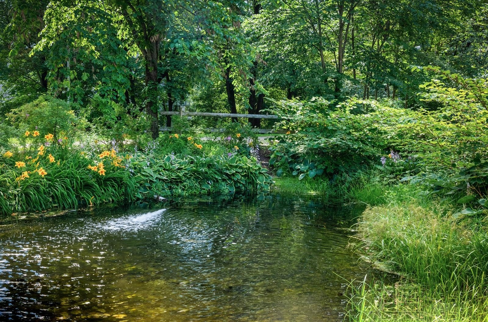 Gård 6 Galleribilde