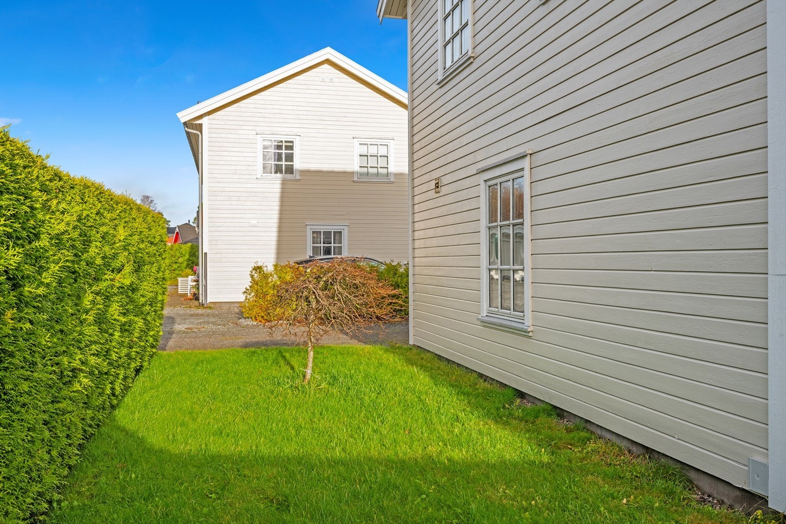 Koselige og usjenert Galleribilde