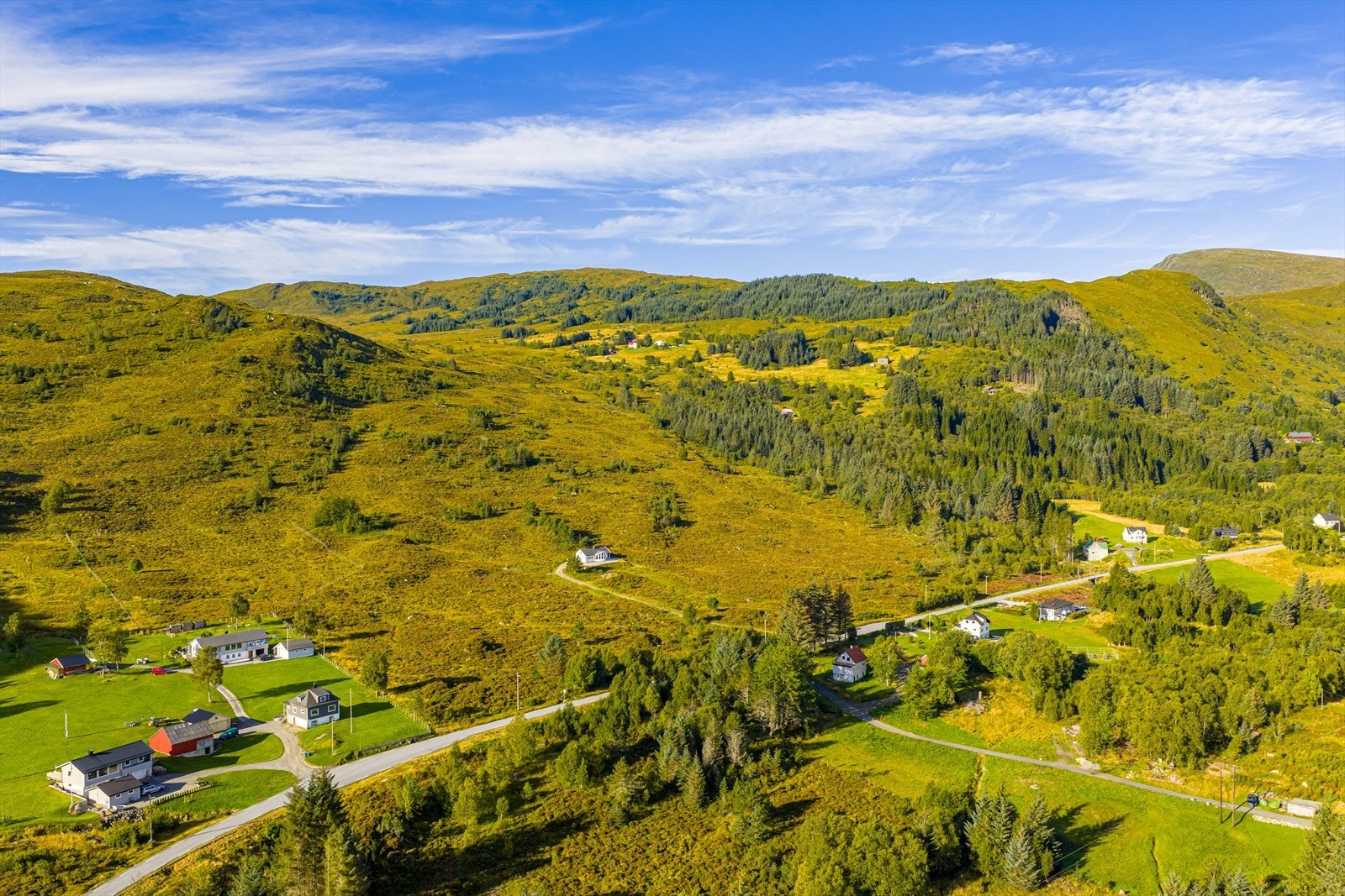 Velkommen til en hyggelig visning! Galleribilde