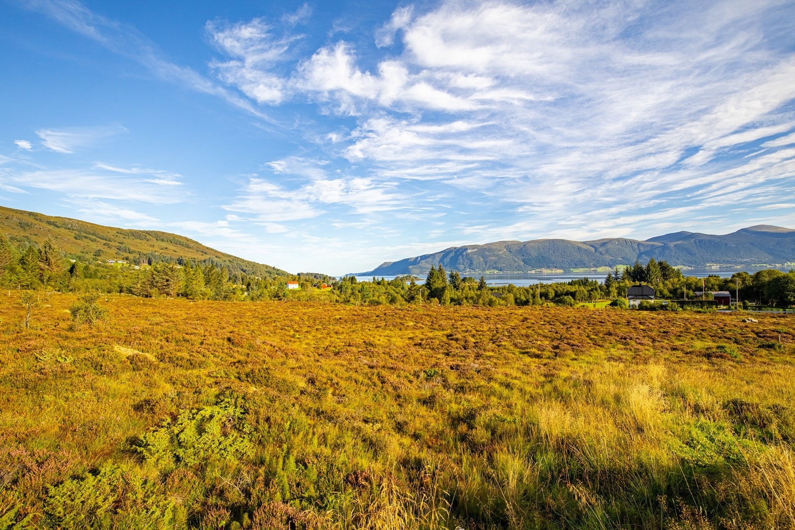 Fantastisk utsikt Galleribilde