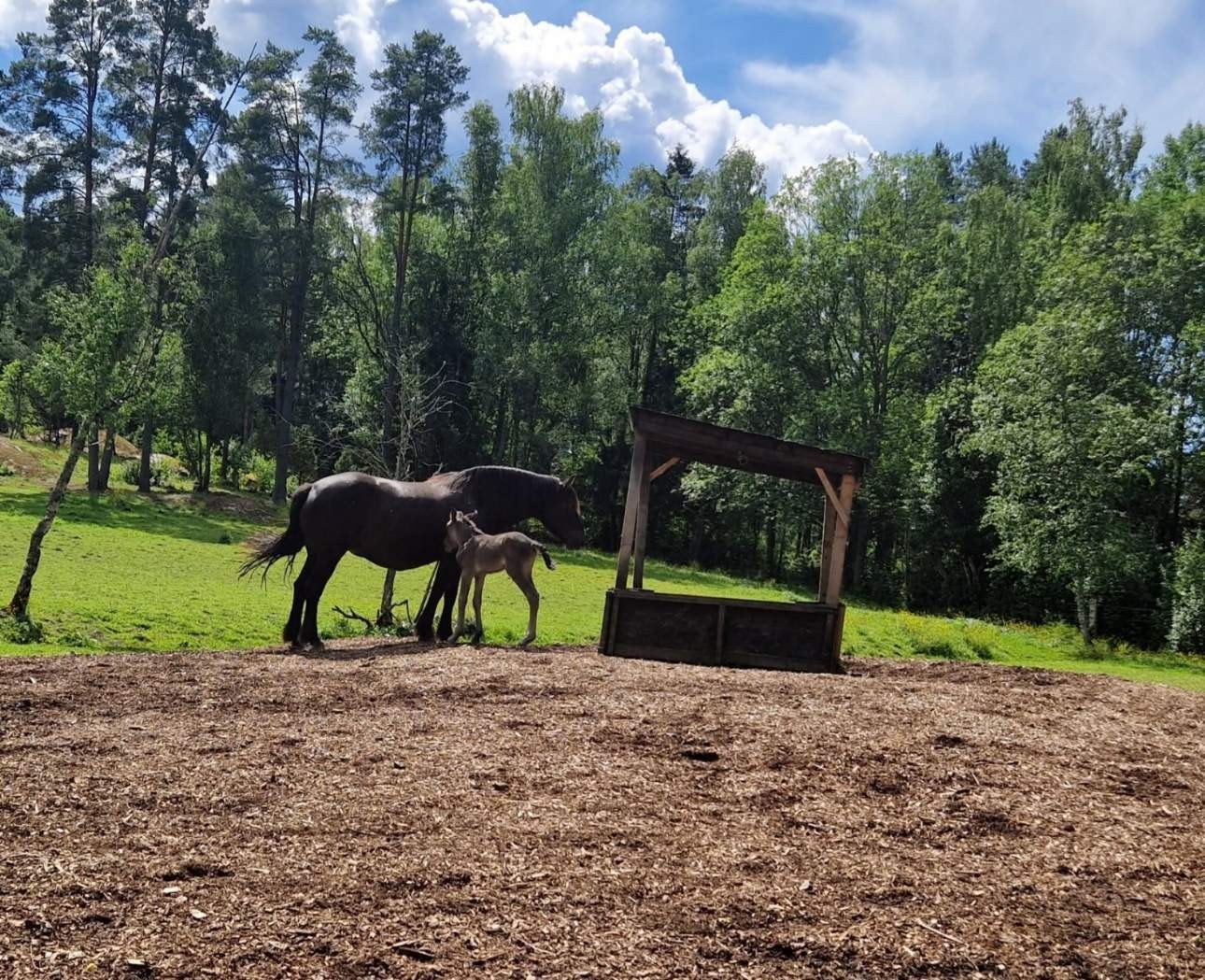 Burud gård Galleribilde