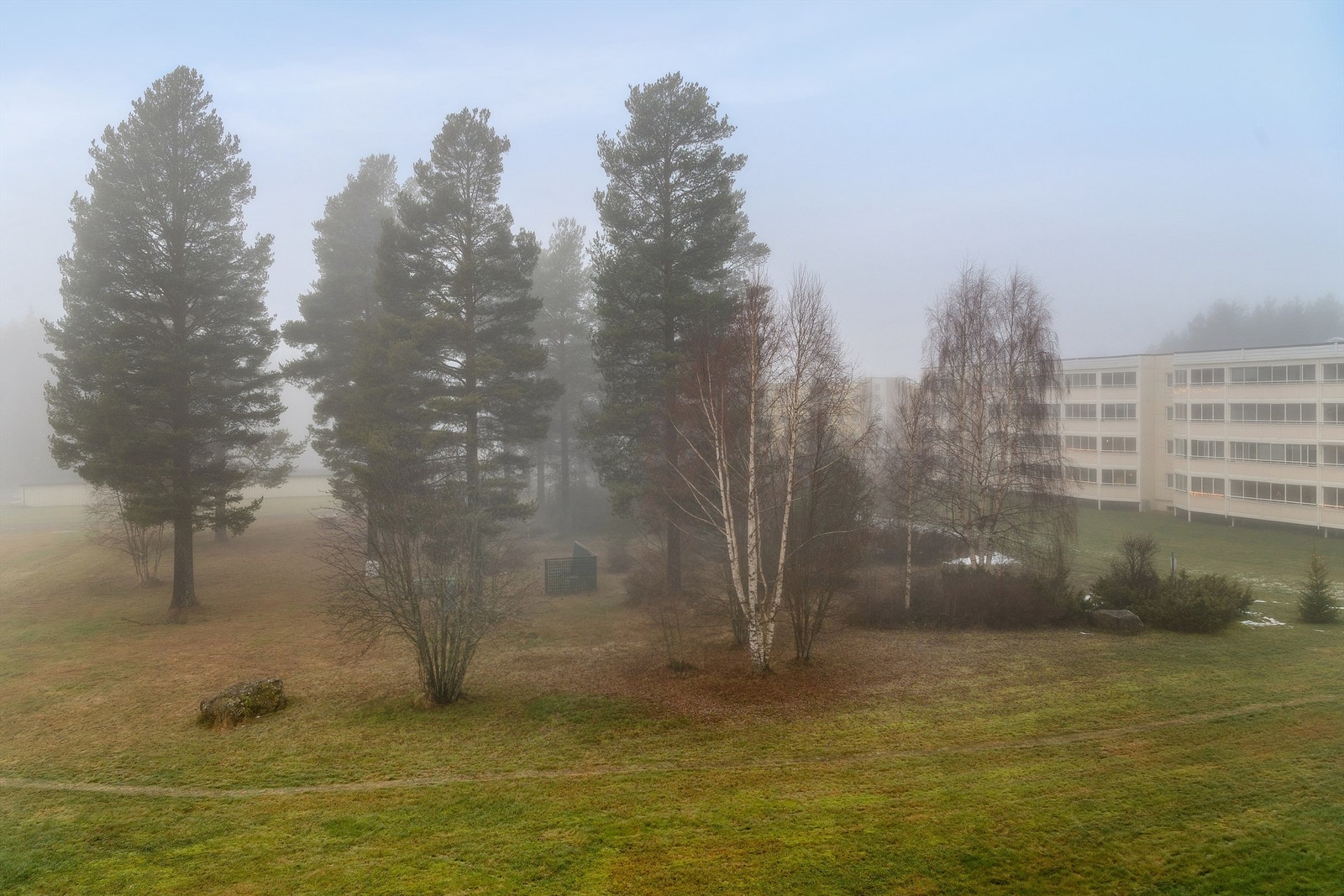 Områdebilde. Galleribilde