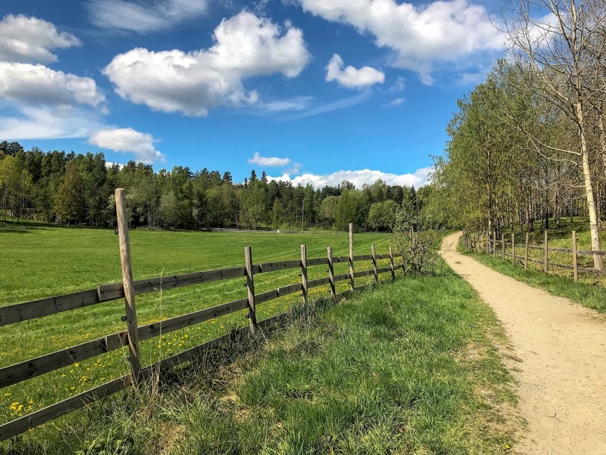 Søndre Ås gård i nærheten. Et flott sted for avkobling og joggeturer, med flere stier rundt og gjennom gården Galleribilde