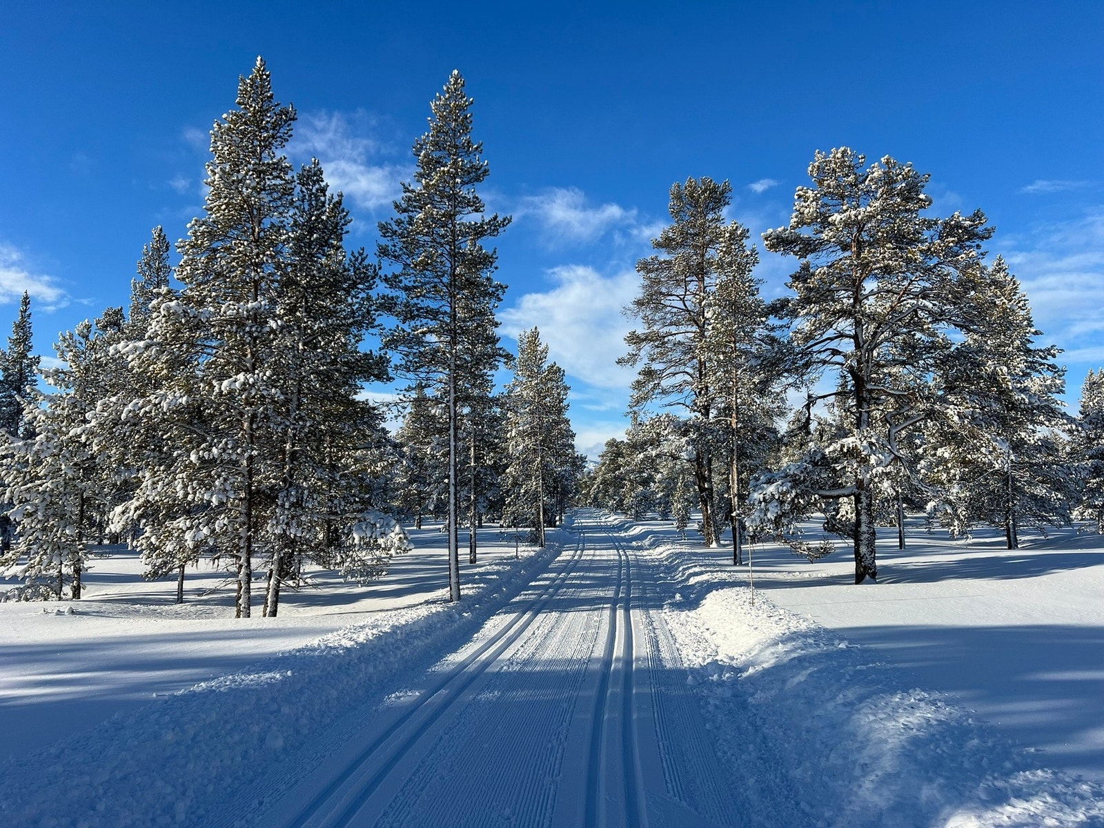 Vinteren bringer frem et stort nettverk av skiløyper som prepareres jevnlig av Kvamsfjellet Turløypelag. Galleribilde