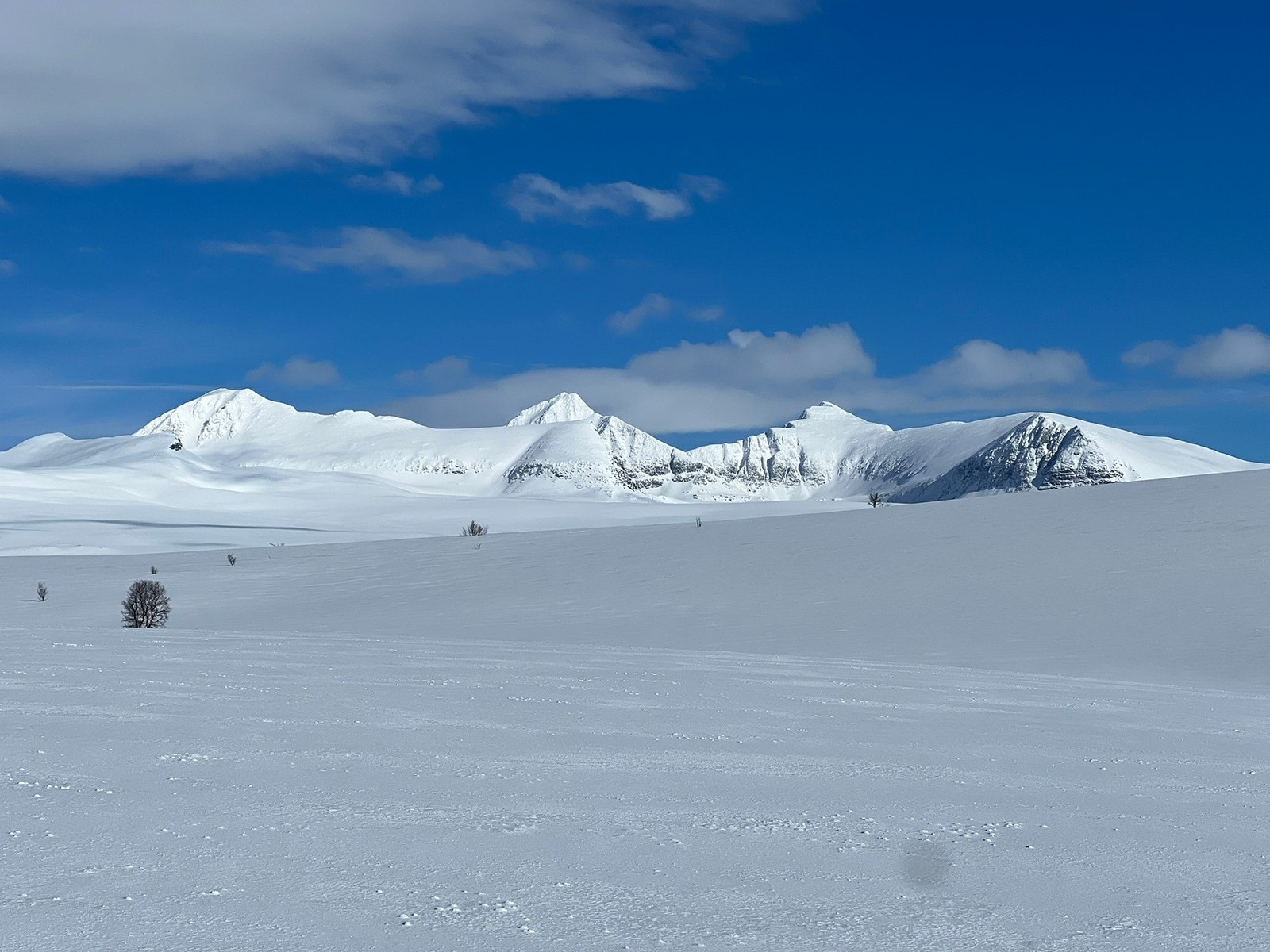 Høyfjellsterreng på en klarværsdag - vid utsikt, åpent snødekke og et storslått horisontlinje. Galleribilde