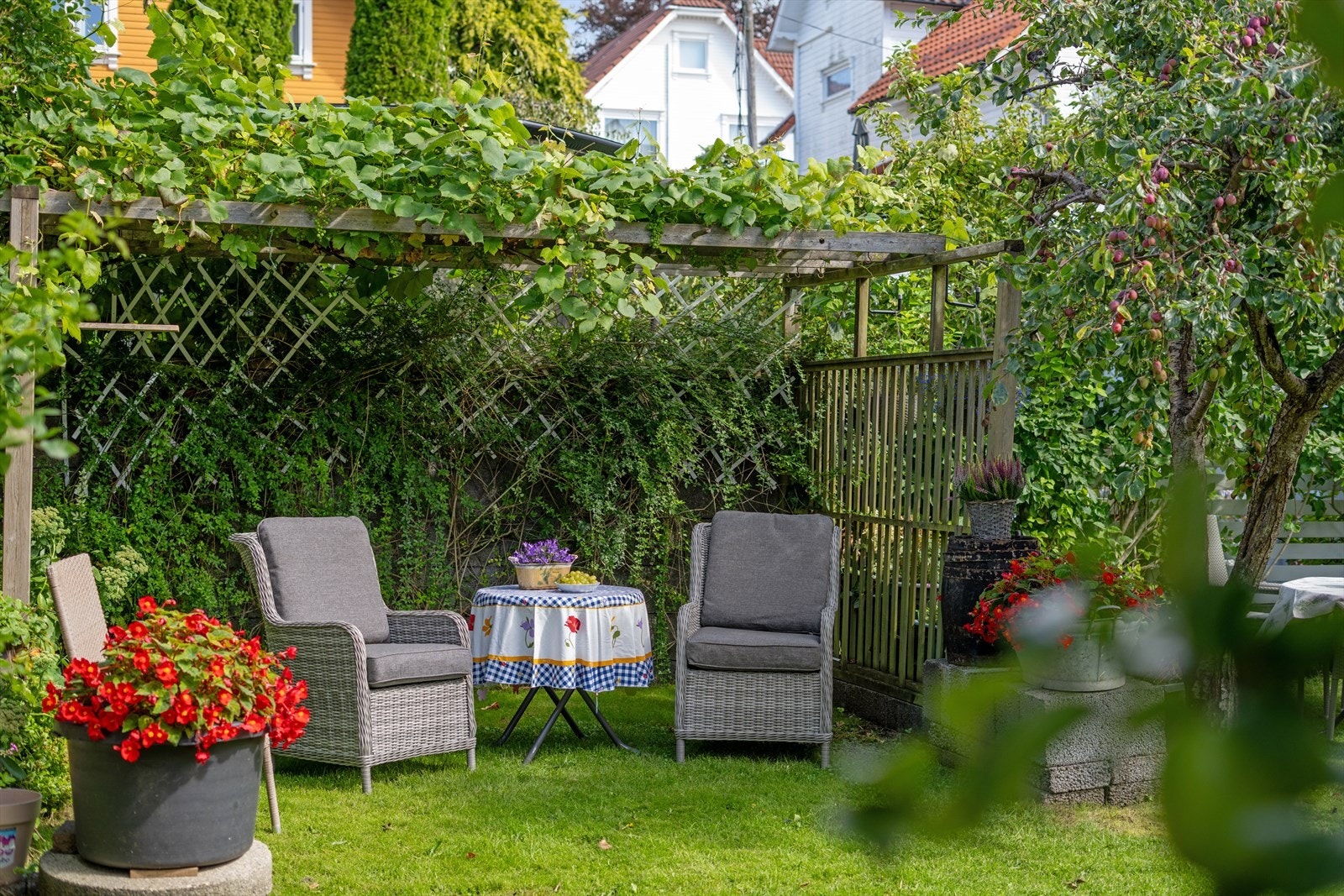 Pergola med frodig vegetasjon. Galleribilde