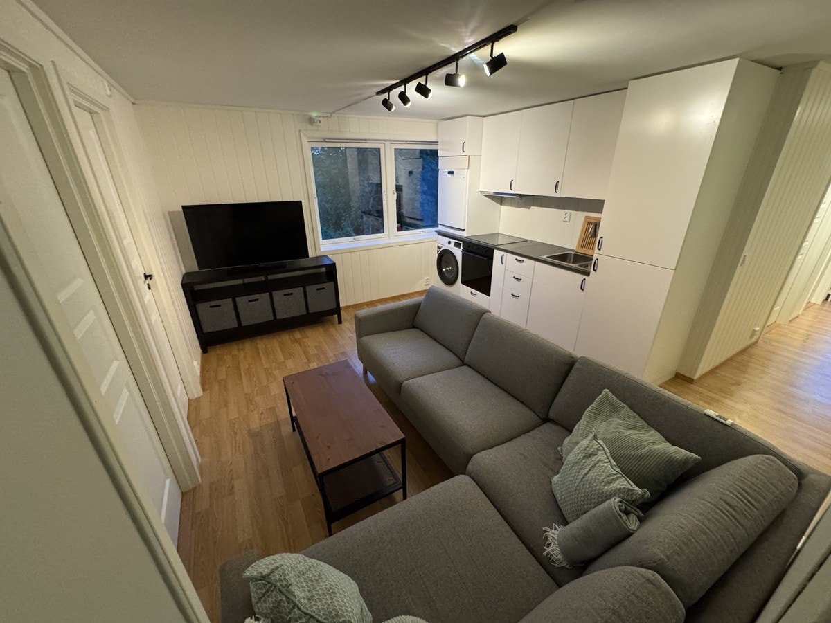 Stue/kjøkken Galleribilde