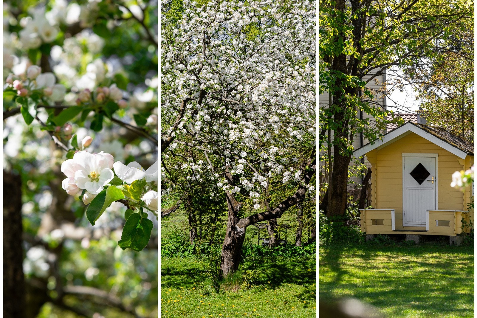 Hagen er nydelig opparbeidet. Galleribilde
