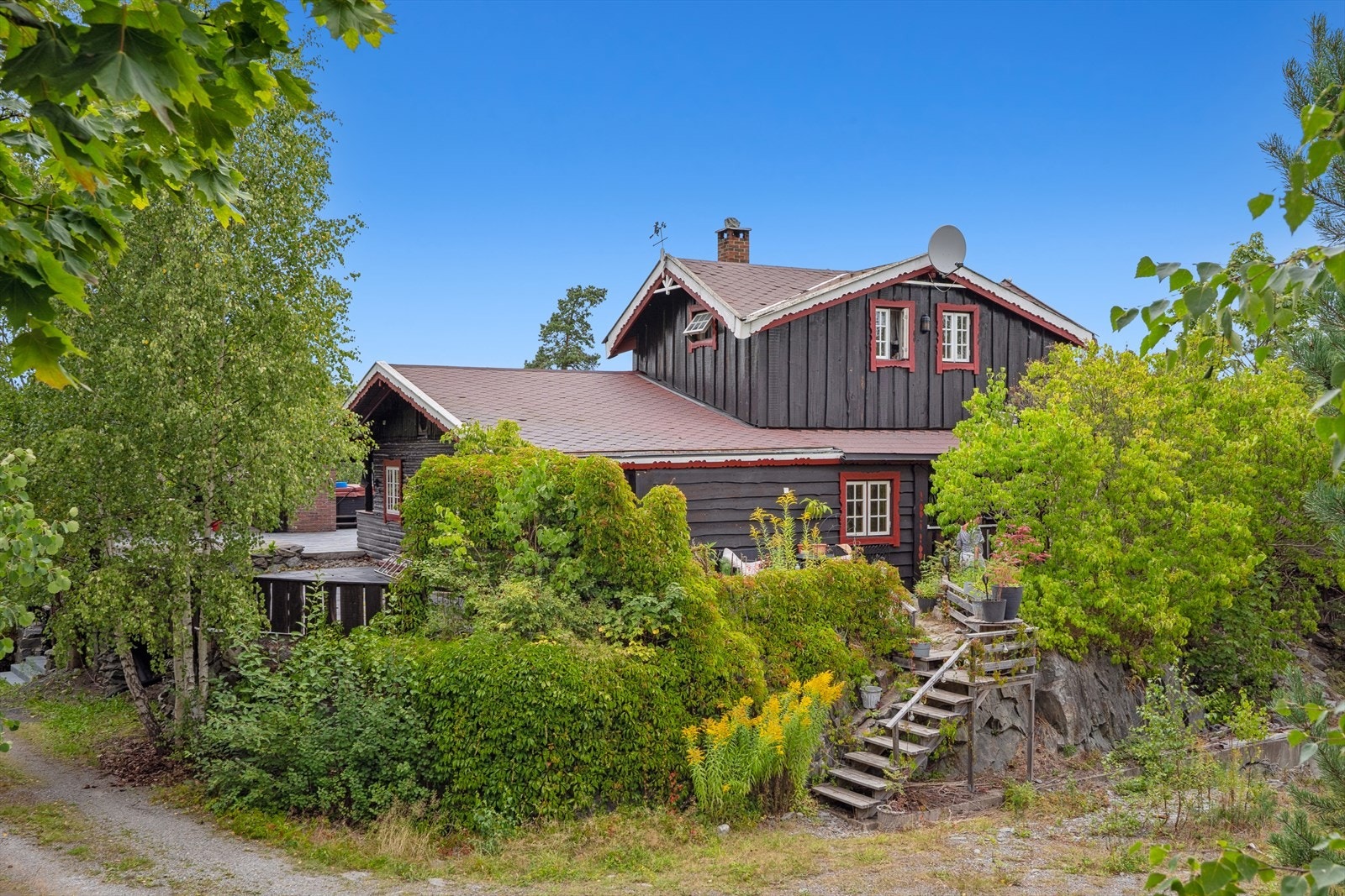 Det er frodig rundt om eiendommen. Galleribilde