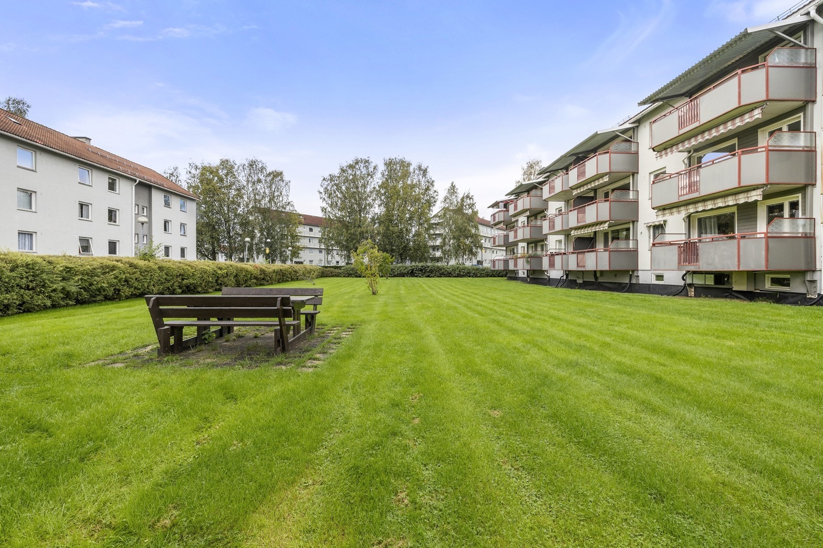 Sameiet har store og velholdte grøntområder som er tilgjengelige for alle beboerne. Galleribilde