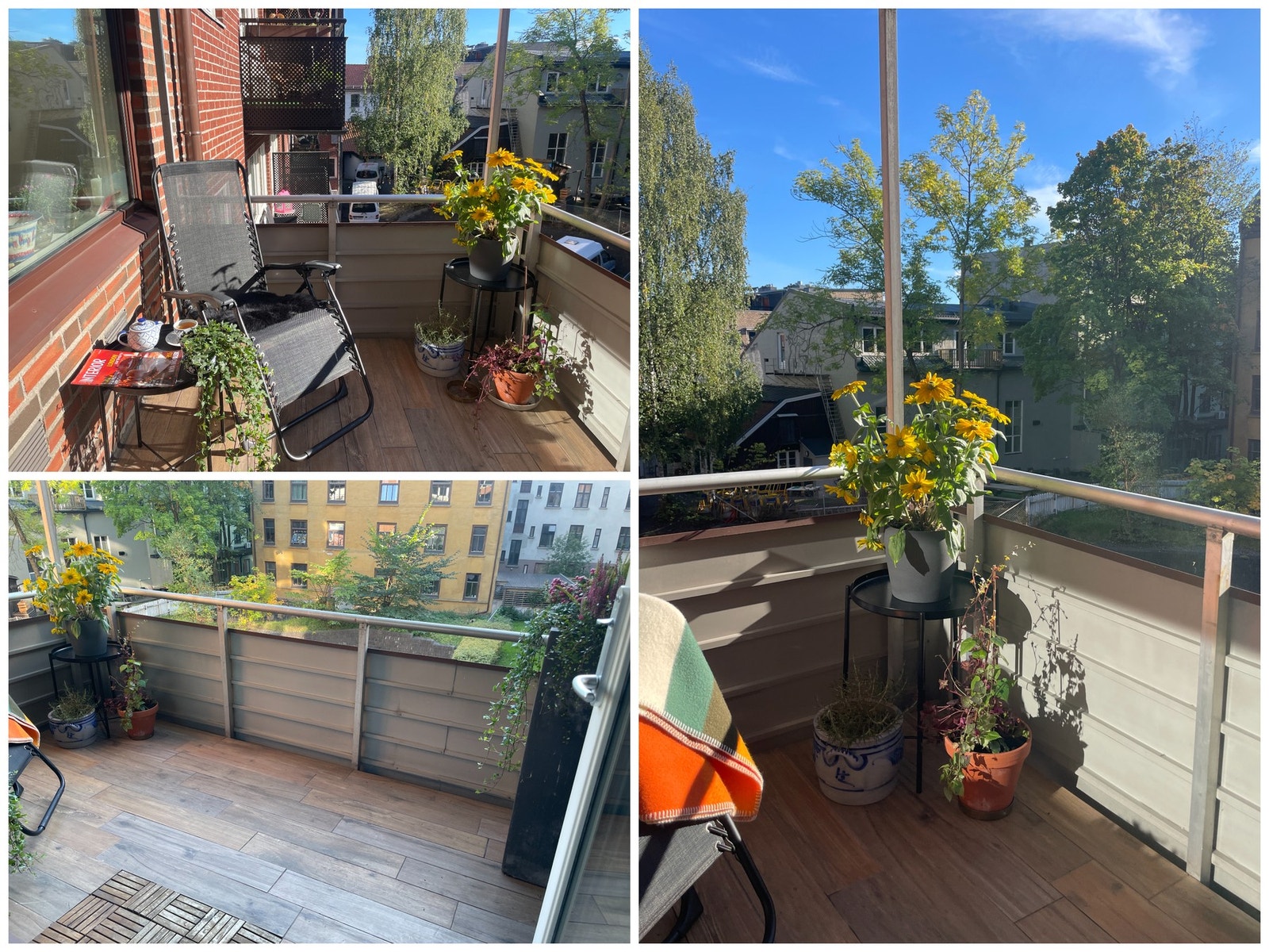 Balkongkos - selgers egne bilder. Galleribilde