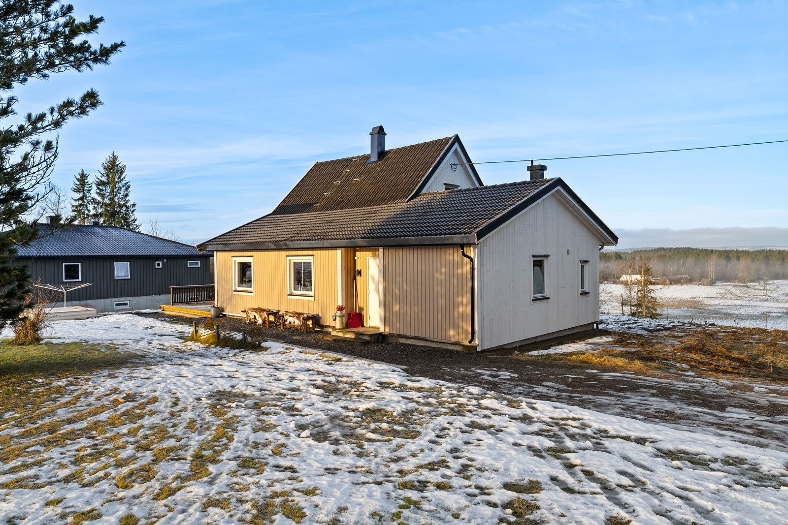 Velkommen til visning! Galleribilde