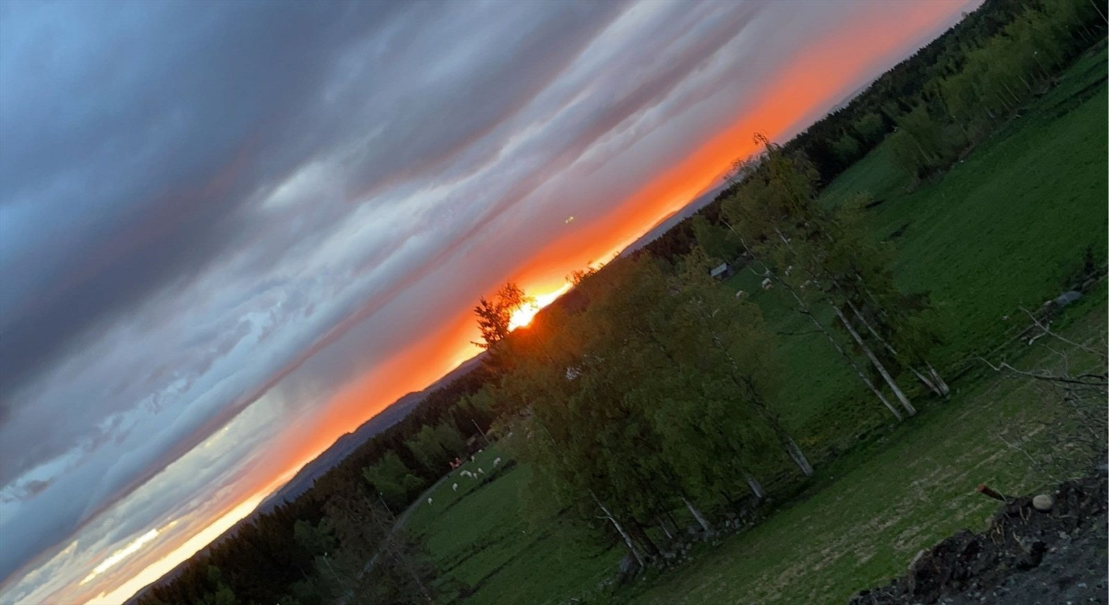 Bilde fra selger. Galleribilde