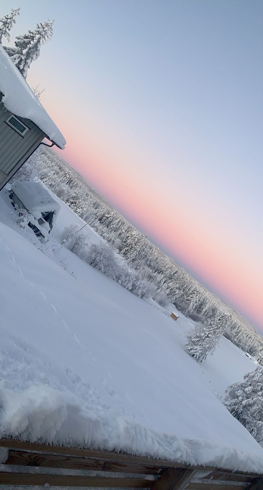 Bilde fra selger. Galleribilde