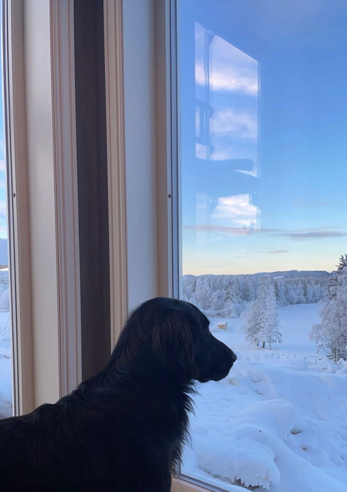 Detalj - Fra selger. Galleribilde