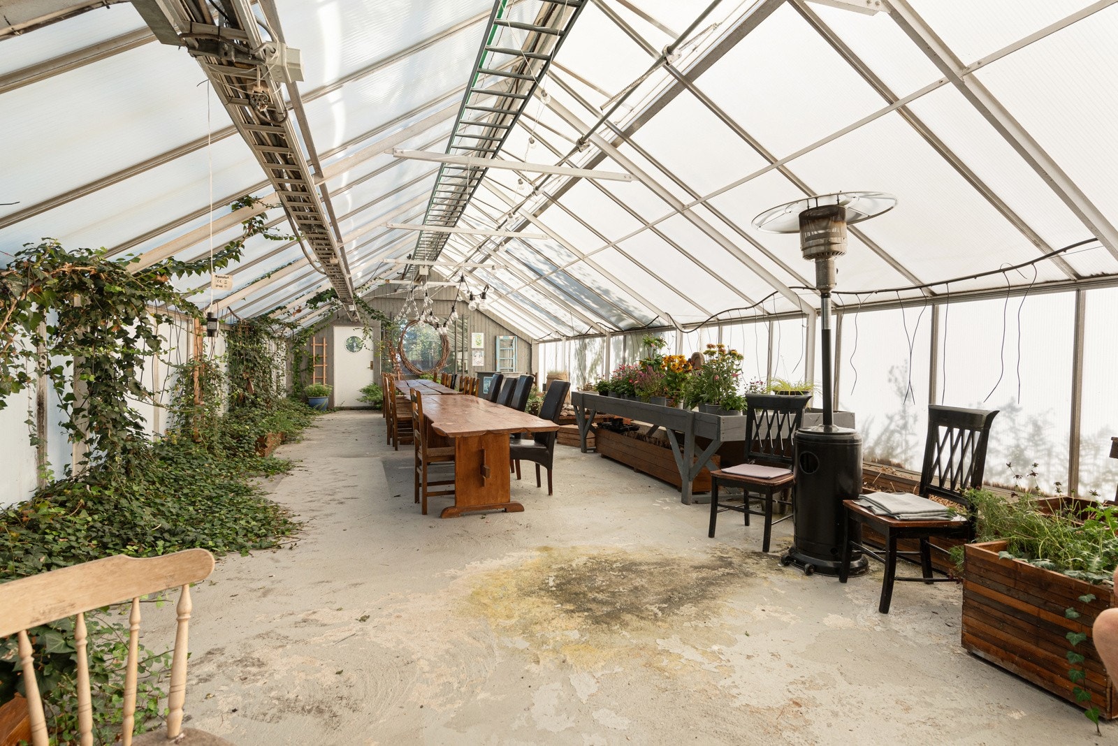 Drivhuset er tilpasset utleie og kan enkelt leies ut til bryllup etc Galleribilde