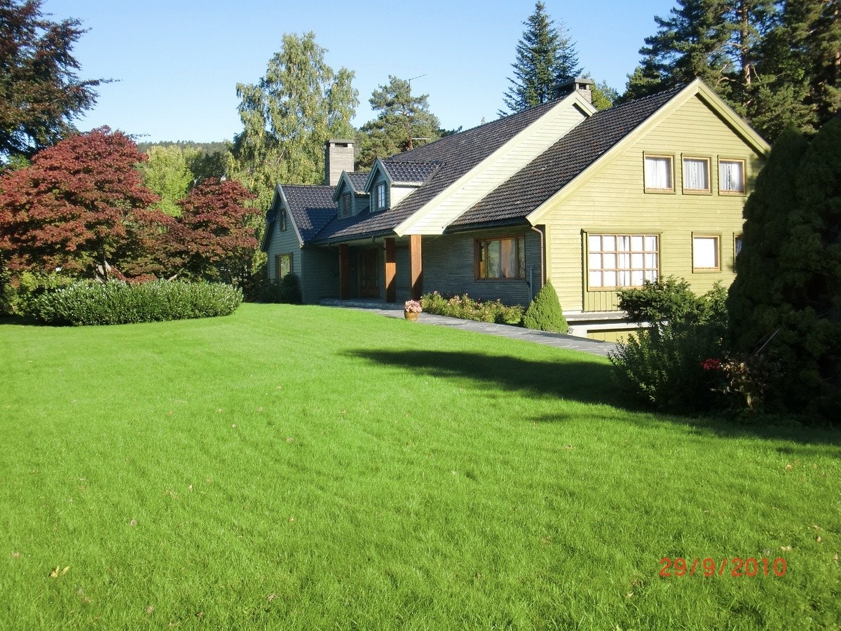 Stor hage og plen Galleribilde