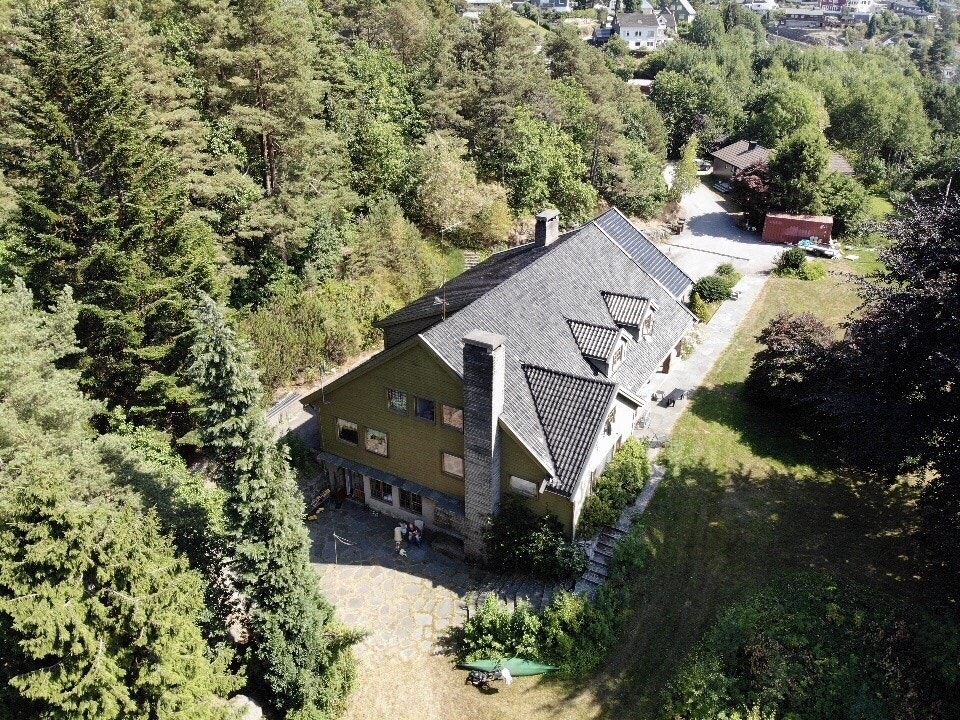 MASSE PLASS Galleribilde