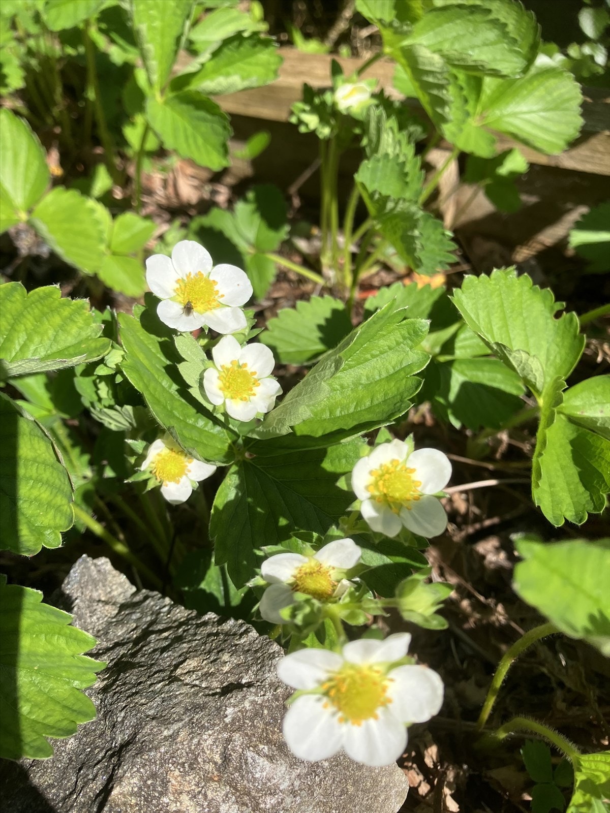 IMG_6321.jpeg Galleribilde