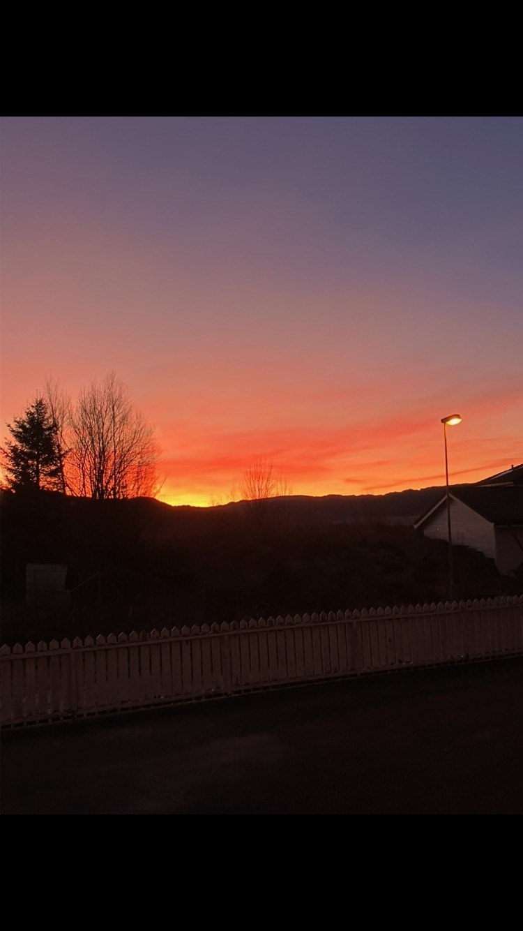 IMG_6311.jpeg Galleribilde