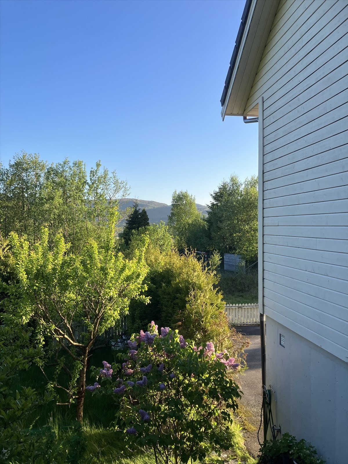 IMG_6335.jpeg Galleribilde