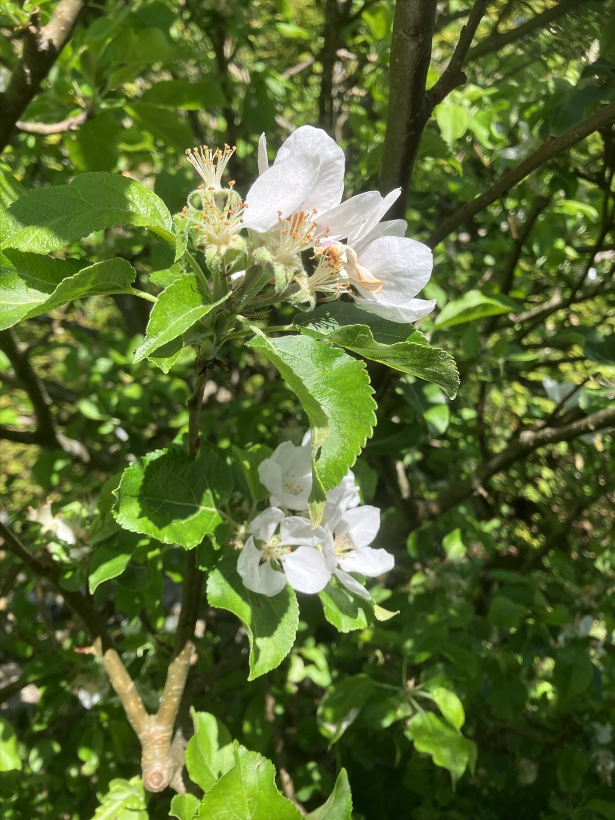 IMG_6313.jpeg Galleribilde