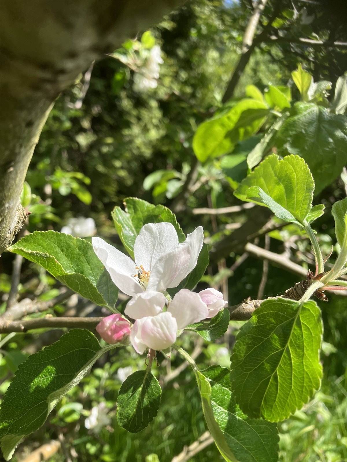 IMG_6319.jpeg Galleribilde