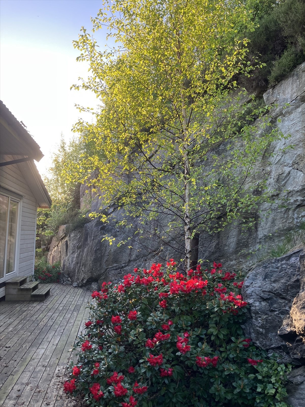 IMG_6334.jpeg Galleribilde