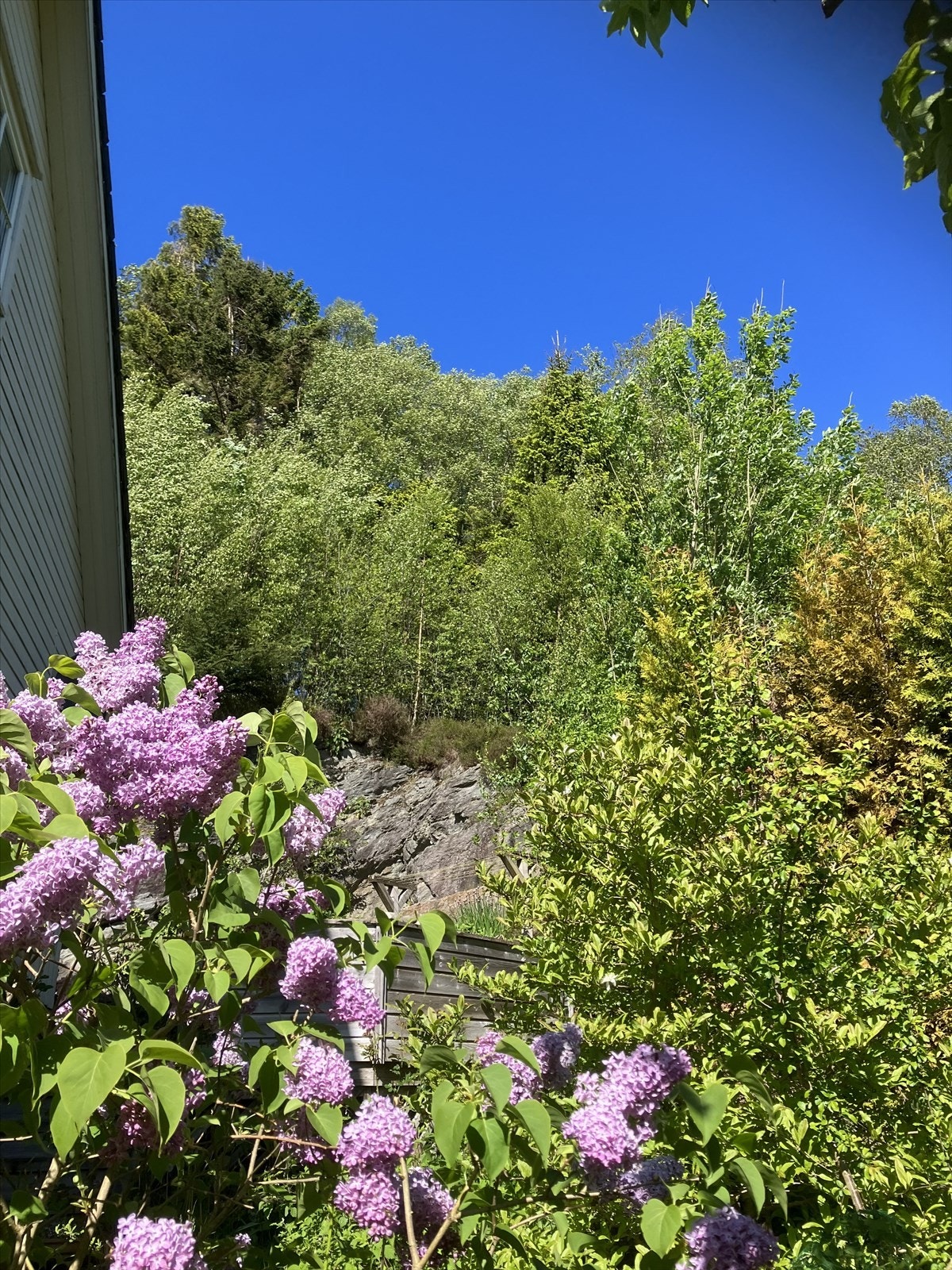 IMG_6316.jpeg Galleribilde