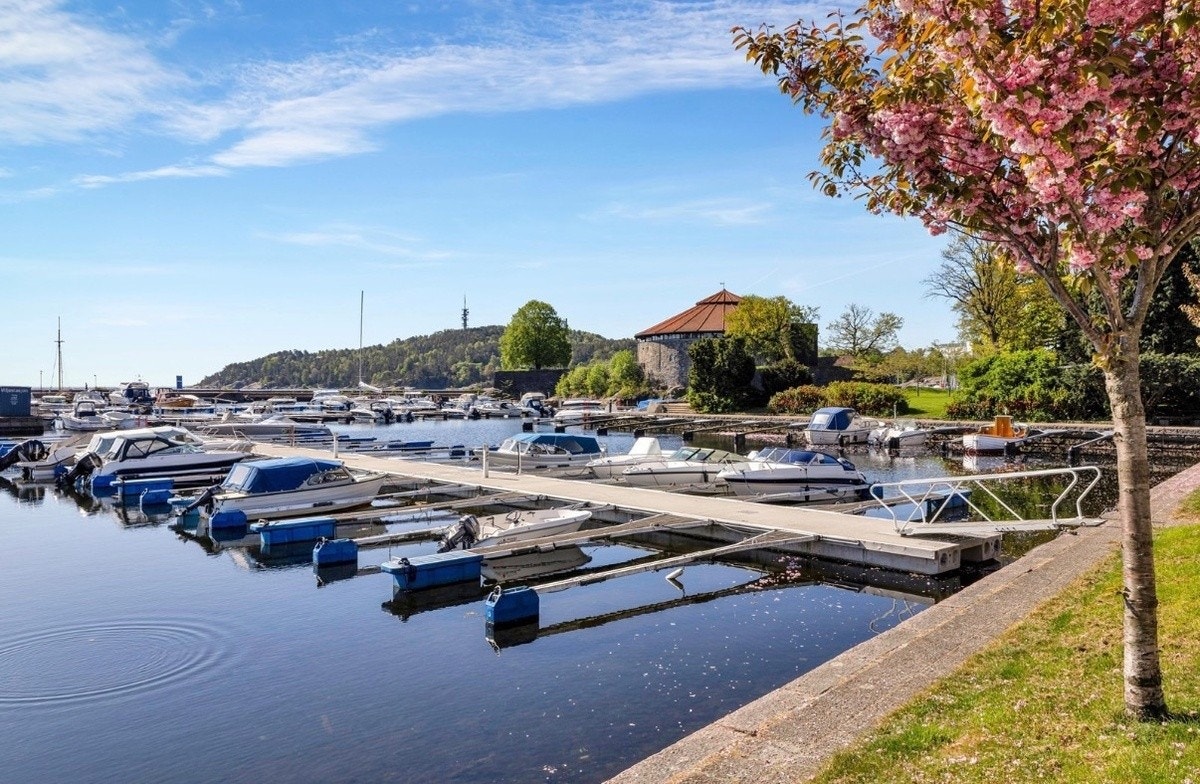 Nærområde Galleribilde