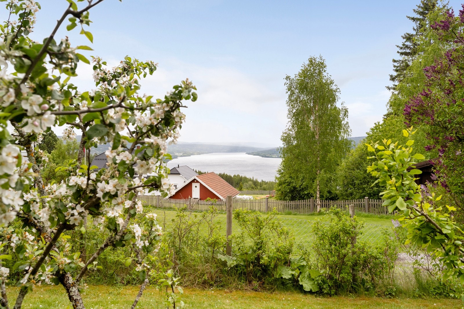 Tomten er opparbeidet med plen, asfalt og diverse beplantning Galleribilde