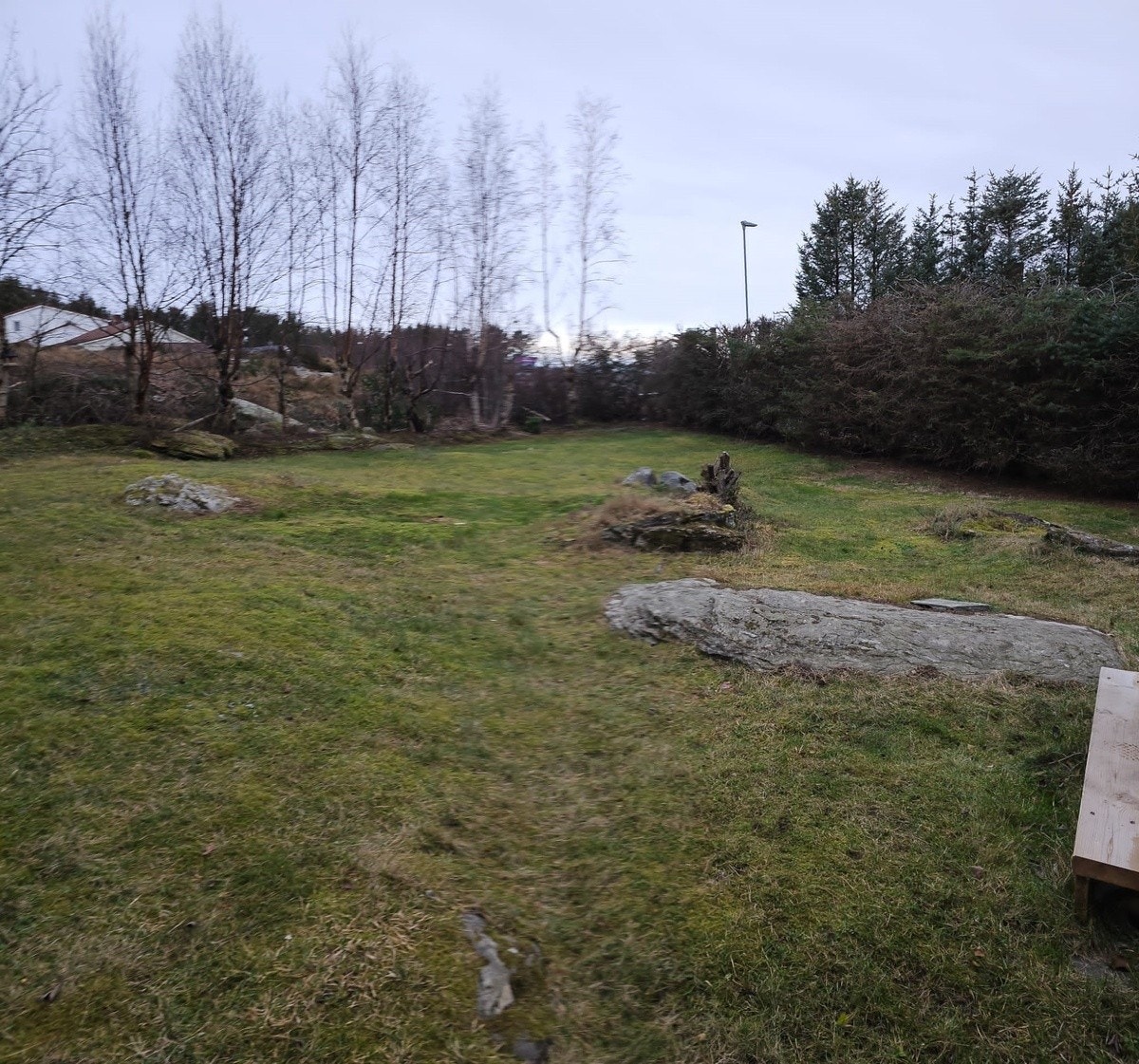 View of garden from window Galleribilde