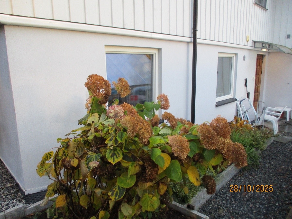 Bed og vinduer sett utenifra Galleribilde