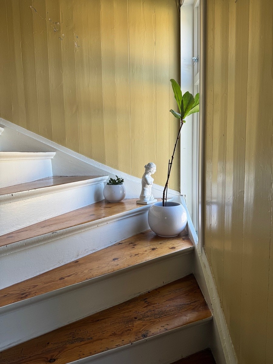 Trapp opp fra gang Galleribilde