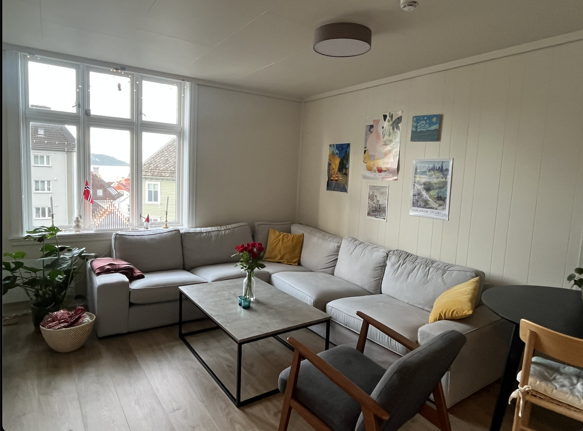 Stuen er romslig, med både sofa, tv og spisebord. Galleribilde