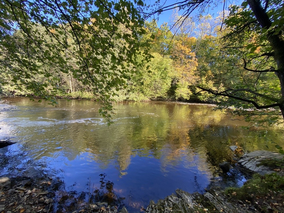 Lysakerelven et stenkast fra leiligheten Galleribilde