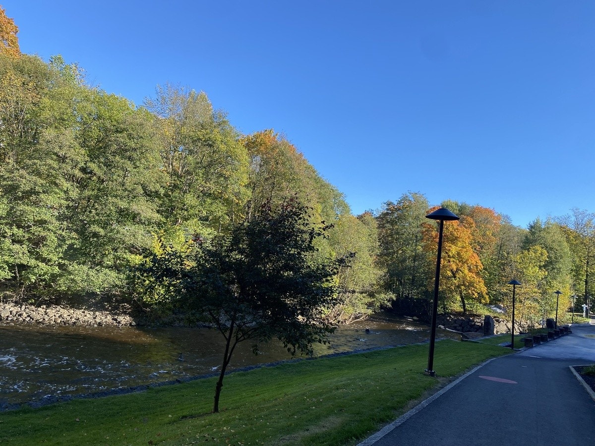 Superfint turområde Galleribilde