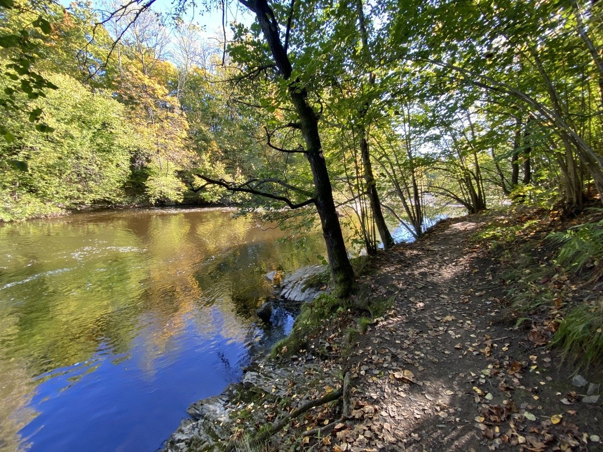 Omgivelser Galleribilde