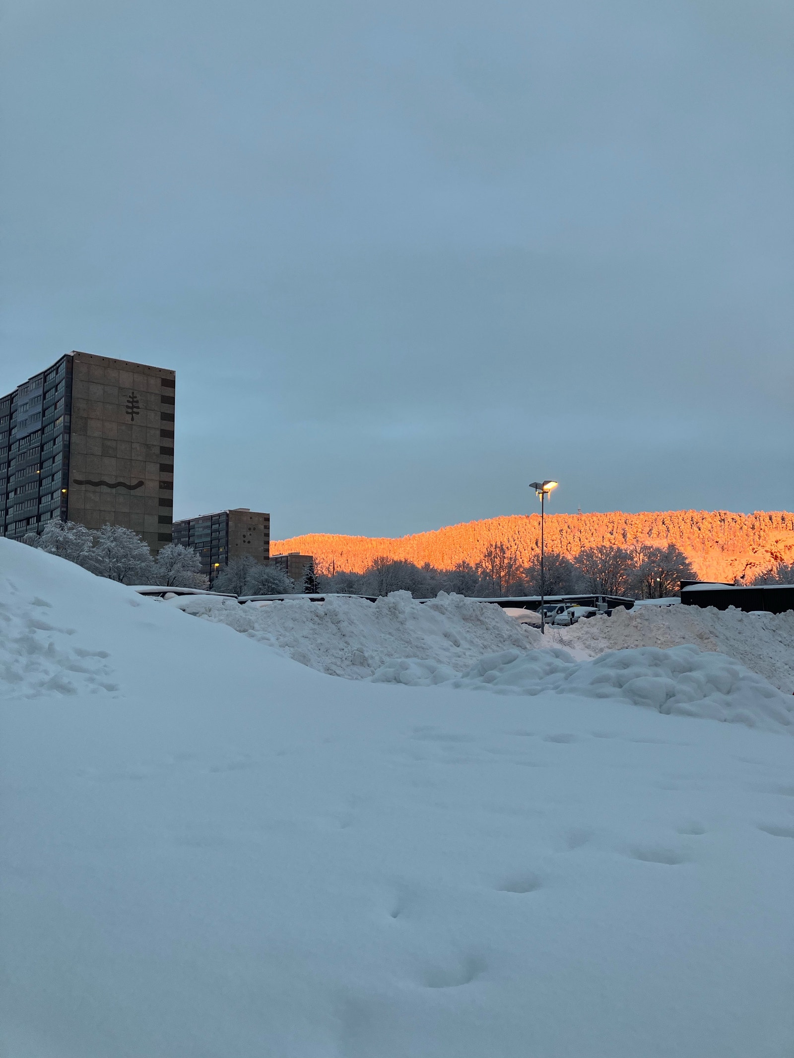 Vinter på Ammerud Galleribilde