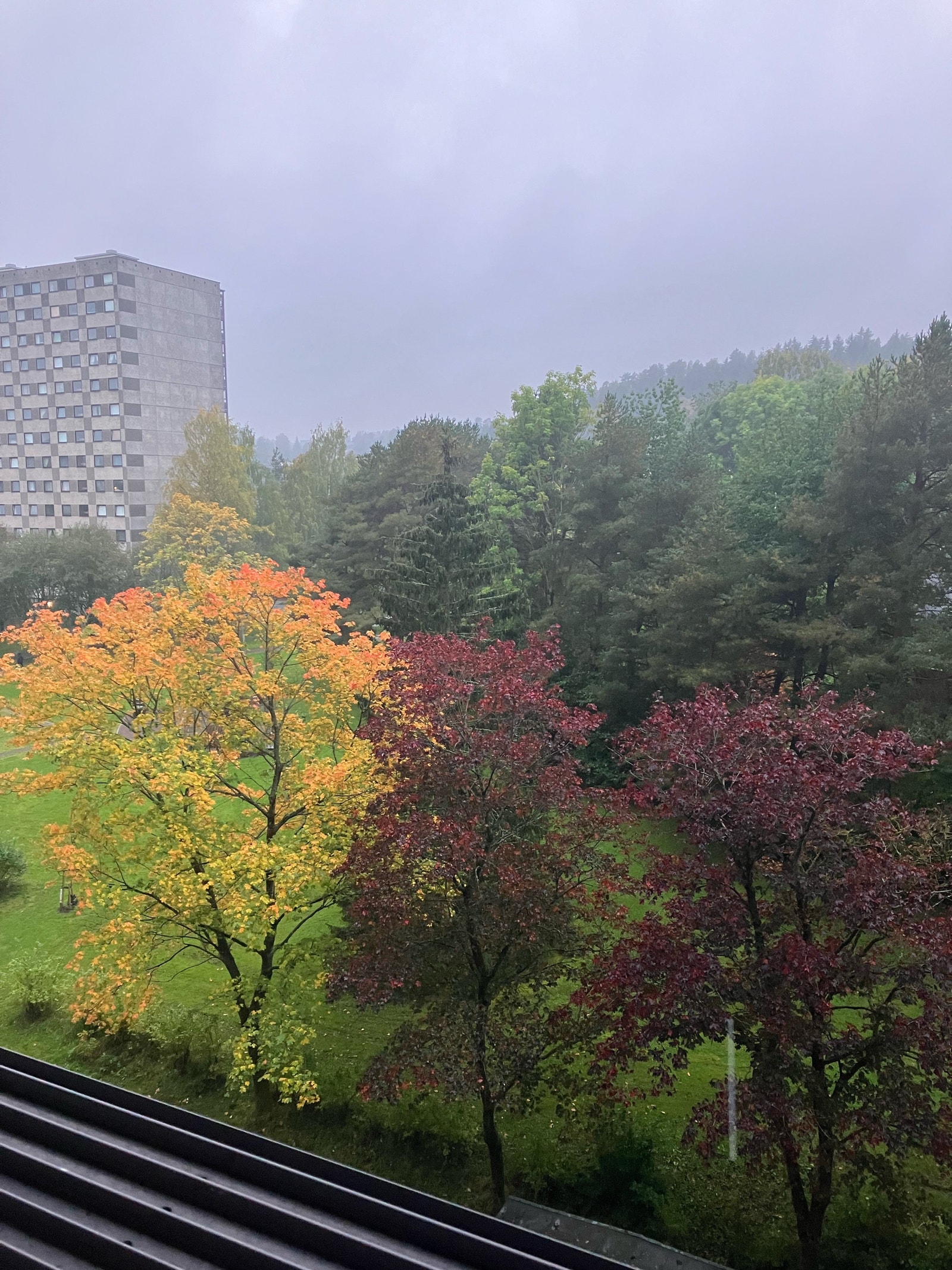 Utsikt fra verandaen Galleribilde